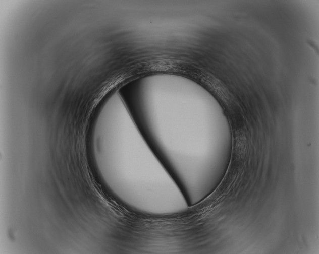 X0000097510626200802220905