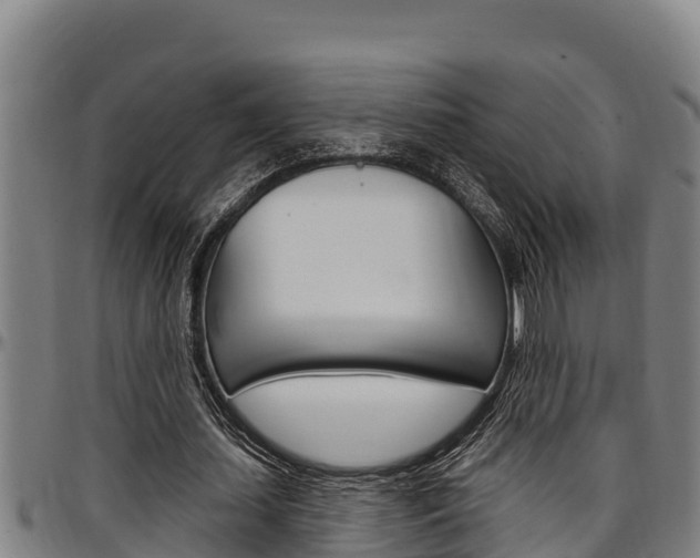 X0000097510627200802220905