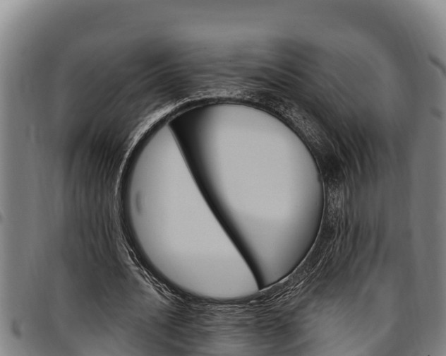 X0000097510628200802220905