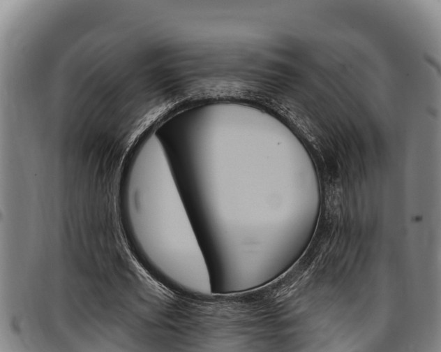 X0000097510629200802220905