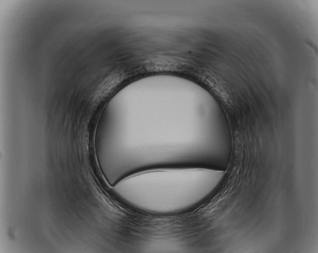 X0000097510631200802220905