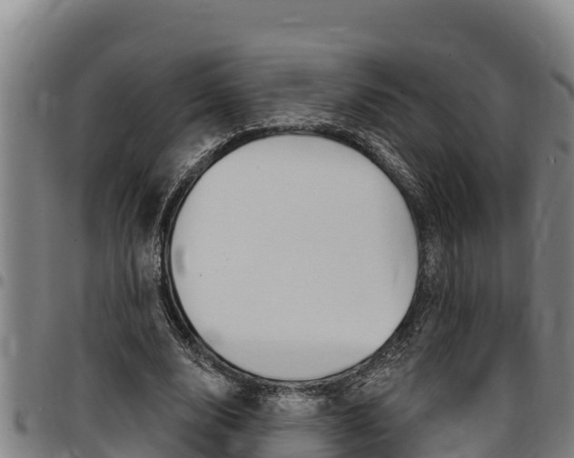 X0000097510632200802220906