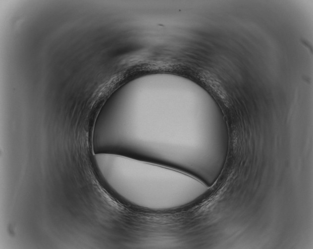 X0000097510633200802220906