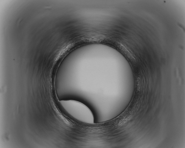 X0000097510634200802220906