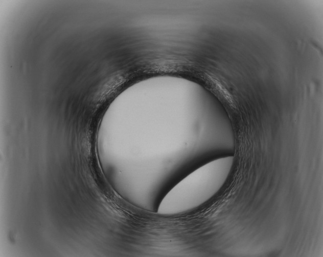 X0000097510635200802220906