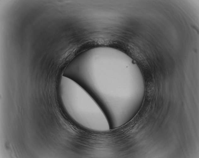 X0000097510639200802220906