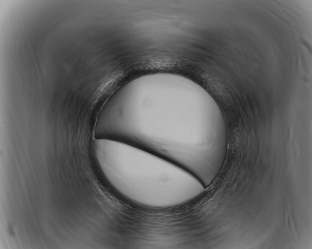 X0000097510640200802220906