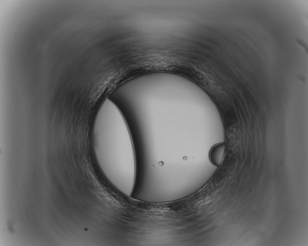 X0000097510642200802220906