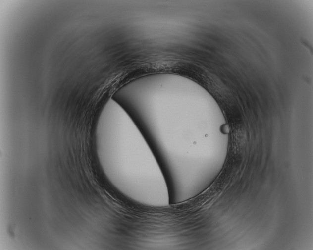X0000097510644200802220906