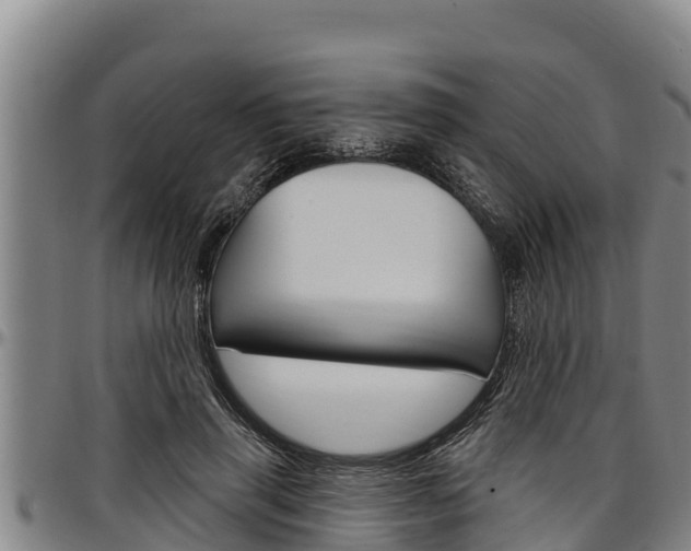 X0000097510645200802220906