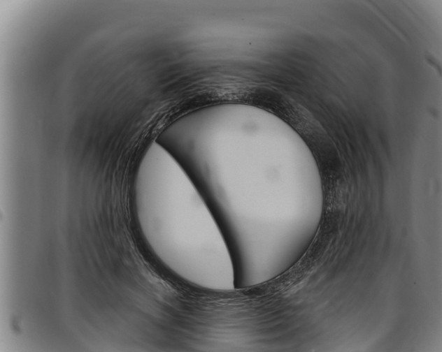 X0000097510646200802220906