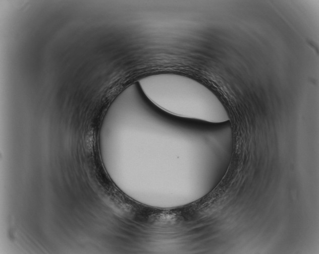 X0000097510647200802220906