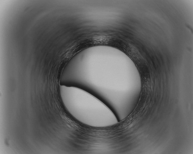 X0000097510649200802220906
