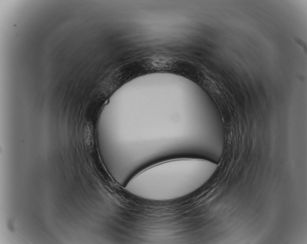 X0000097510651200802220906