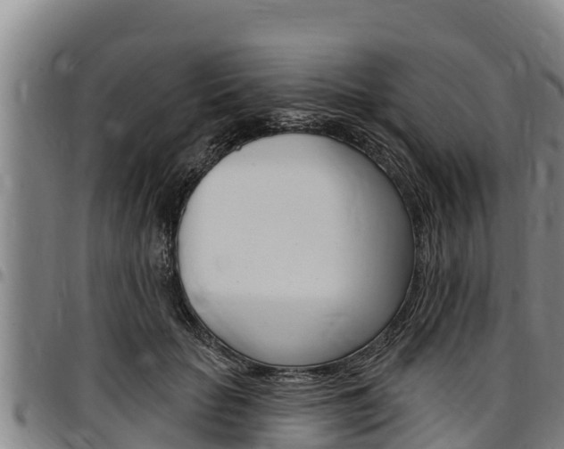 X0000097510653200802220906