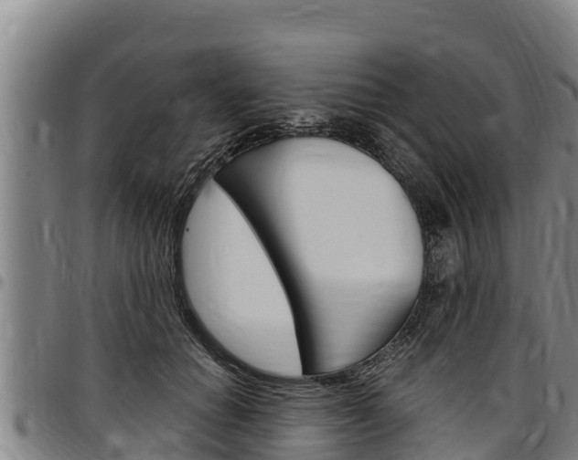 X0000097510654200802220906