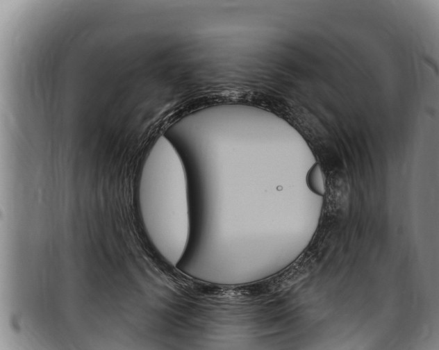 X0000097510656200802220906