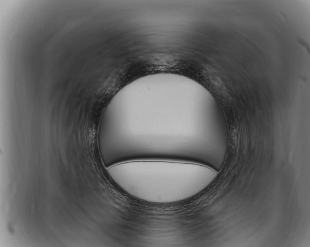 X0000097510657200802220906