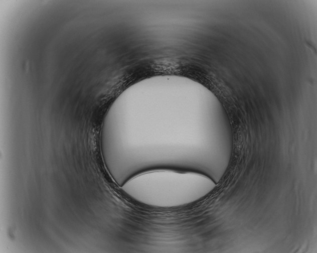 X0000097510658200802220906
