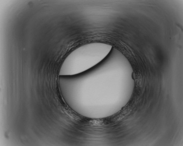 X0000097510660200802220906