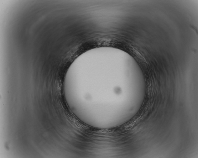 X0000097510661200802220906