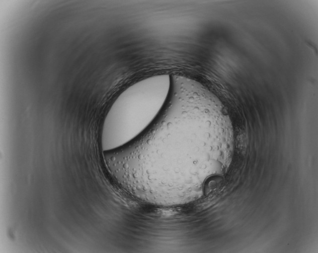 X0000097510662200802220906
