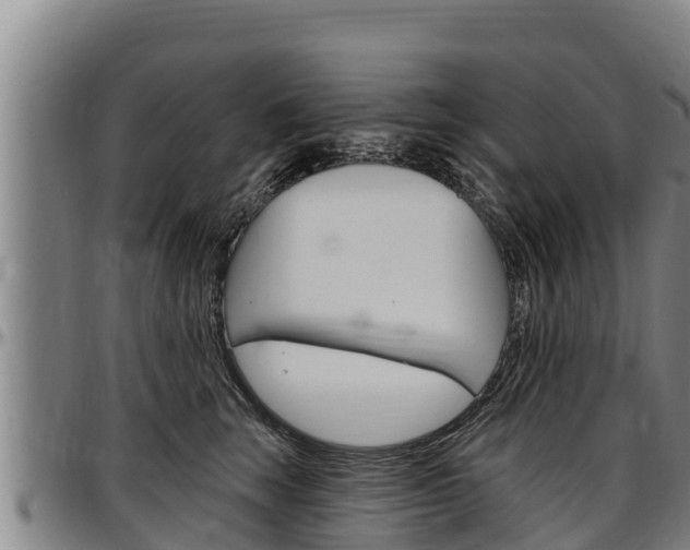 X0000097510663200802220906