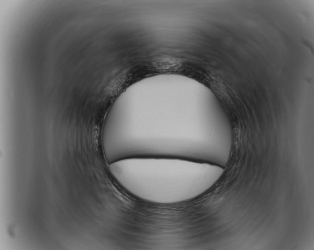 X0000097510664200802220906