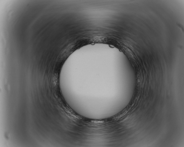 X0000097510665200802220906
