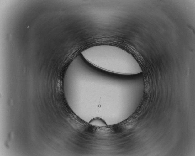 X0000097510669200802220906