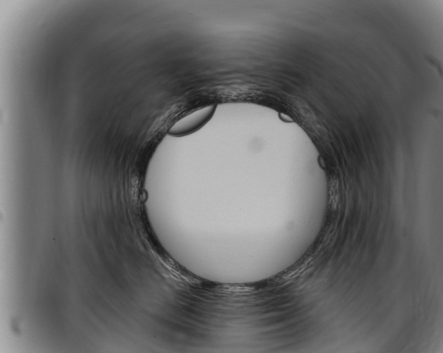 X0000097510670200802220906