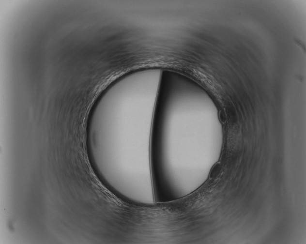 X0000097510673200802220905