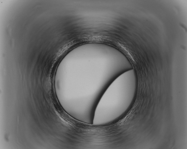 X0000097510674200802220905
