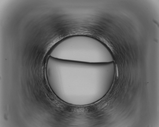 X0000097510675200802220905