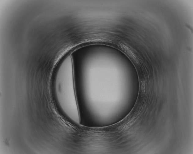 X0000097510676200802220905