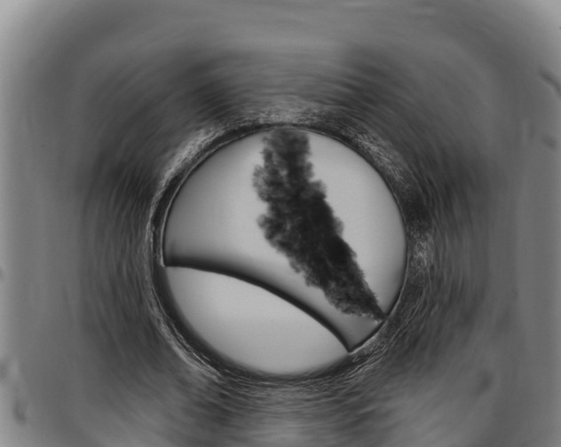X0000097510678200802220905