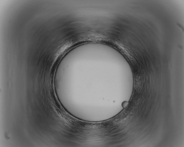 X0000097510679200802220905