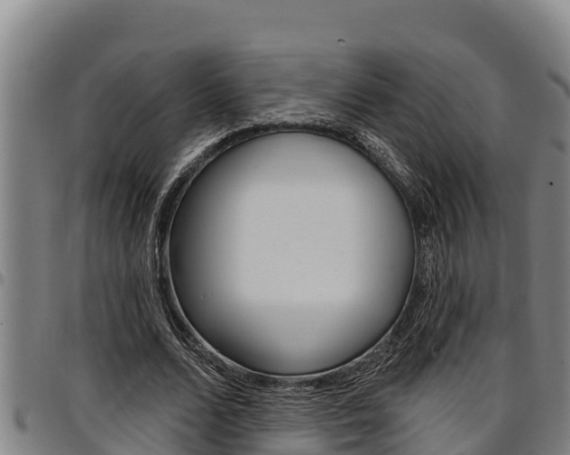 X0000097510680200802220905
