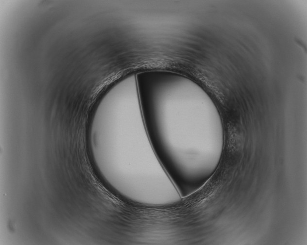 X0000097510681200802220905