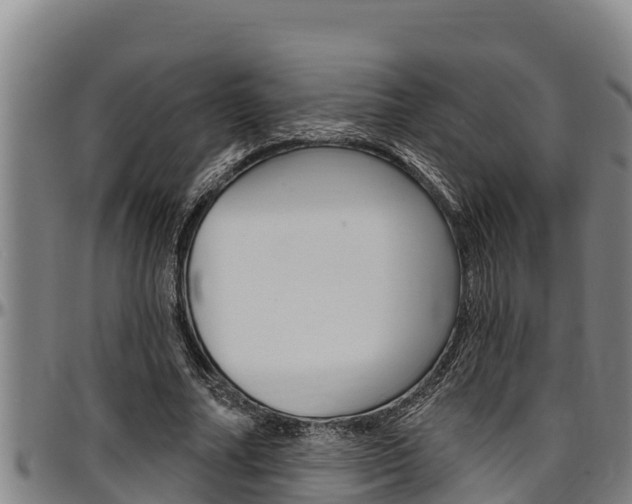 X0000097510682200802220905