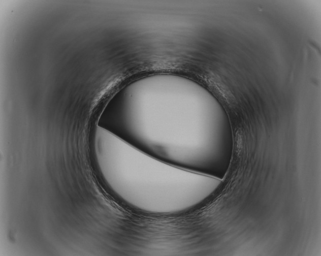 X0000097510684200802220905