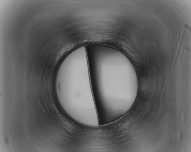 X0000097510685200802220905