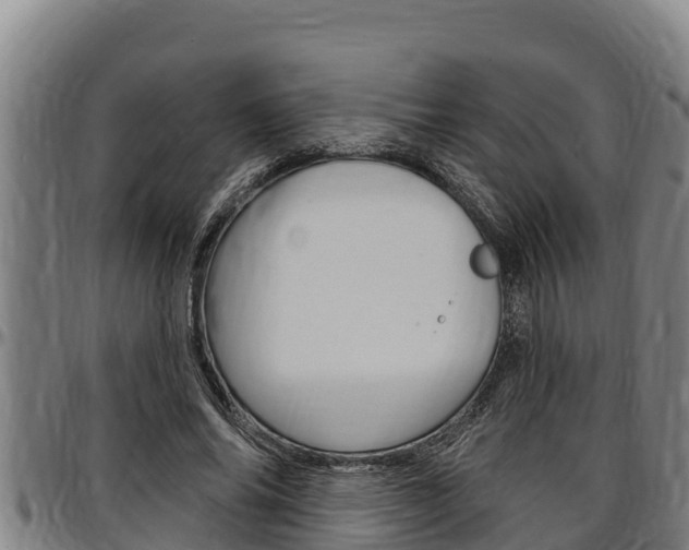 X0000097510686200802220905