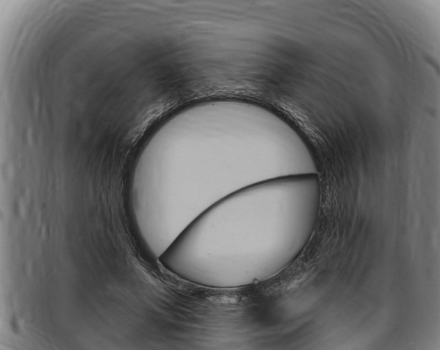 X0000097510687200802220905