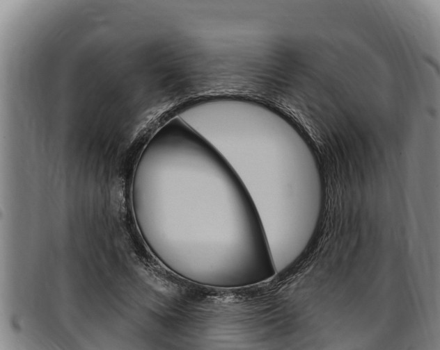 X0000097510688200802220905