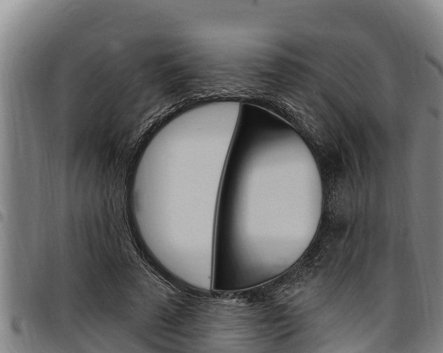 X0000097510689200802220905