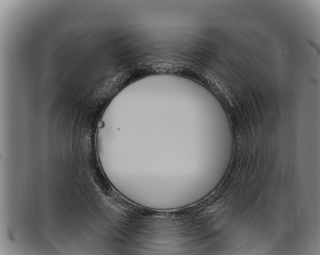 X0000097510690200802220905