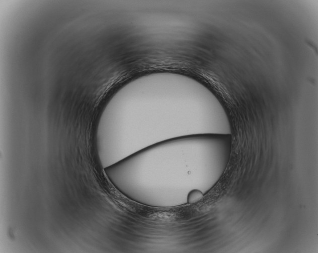 X0000097510691200802220905