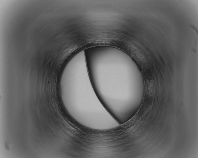 X0000097510692200802220905
