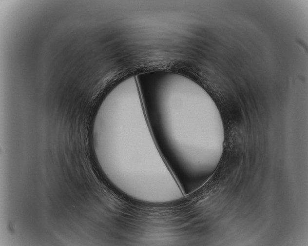 X0000097510693200802220905